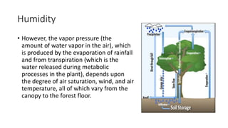 Humidity
• However, the vapor pressure (the
amount of water vapor in the air), which
is produced by the evaporation of rainfall
and from transpiration (which is the
water released during metabolic
processes in the plant), depends upon
the degree of air saturation, wind, and air
temperature, all of which vary from the
canopy to the forest floor.
 