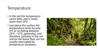 Temperature
• In the soil the temperature
varies little, and is rarely
lower than 23oC.
• Just above the surface the
temperature varies by only
5oC or so (falling between
22oC – 27oC, generally), and
therefore activities in the soil
and on the forest floor are not
usually interrupted by
temperature variations.
 