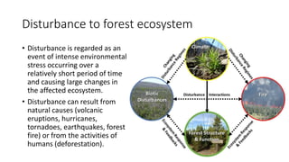 Disturbance to forest ecosystem
• Disturbance is regarded as an
event of intense environmental
stress occurring over a
relatively short period of time
and causing large changes in
the affected ecosystem.
• Disturbance can result from
natural causes (volcanic
eruptions, hurricanes,
tornadoes, earthquakes, forest
fire) or from the activities of
humans (deforestation).
 