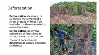 Deforestation
• Deforestation, clearance, or
clearing is the removal of a
forest or stand of trees from
land which is then converted to
a non-forest use.
• Deforestation can involve
conversion of forest land to
farms, ranches, or urban use.
• The most concentrated
deforestation occurs in tropical
rainforests.
 