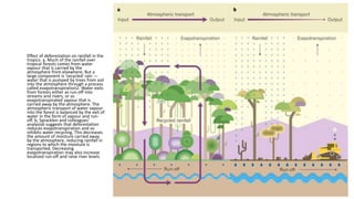 Effect of deforestation on rainfall in the
tropics. a, Much of the rainfall over
tropical forests comes from water
vapour that is carried by the
atmosphere from elsewhere. But a
large component is 'recycled' rain —
water that is pumped by trees from soil
into the atmosphere through a process
called evapotranspiration2. Water exits
from forests either as run-off into
streams and rivers, or as
evapotranspirated vapour that is
carried away by the atmosphere. The
atmospheric transport of water vapour
into the forest is balanced by the exit of
water in the form of vapour and run-
off. b, Spracklen and colleagues'
analysis6 suggests that deforestation
reduces evapotranspiration and so
inhibits water recycling. This decreases
the amount of moisture carried away
by the atmosphere, reducing rainfall in
regions to which the moisture is
transported. Decreasing
evapotranspiration may also increase
localized run-off and raise river levels.
 