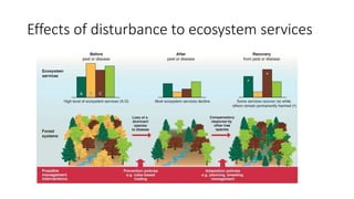 Effects of disturbance to ecosystem services
 
