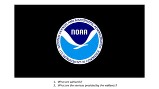 1. What are wetlands?
2. What are the services provided by the wetlands?
 