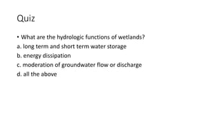 Quiz
• What are the hydrologic functions of wetlands?
a. long term and short term water storage
b. energy dissipation
c. moderation of groundwater flow or discharge
d. all the above
 