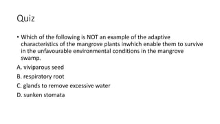 Quiz
• Which of the following is NOT an example of the adaptive
characteristics of the mangrove plants inwhich enable them to survive
in the unfavourable environmental conditions in the mangrove
swamp.
A. viviparous seed
B. respiratory root
C. glands to remove excessive water
D. sunken stomata
 