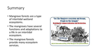 Summary
• Mangrove forests are a type
of intertidal wetland
ecosystems.
• The mangroves have several
functions and adaptations to
a life in an intertidal
ecosystem.
• The mangrove forests
provide many ecosystem
services.
 