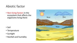 Abiotic factor
• Non-living factors in the
ecosystem that affects the
organisms living there
• Soil
• Temperature
• Sunlight
• Rainfall and humidity
 
