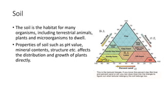 Soil
• The soil is the habitat for many
organisms, including terrestrial animals,
plants and microorganisms to dwell.
• Properties of soil such as pH value,
mineral contents, structure etc. affects
the distribution and growth of plants
directly.
黏土
淤泥
壤土
砂
 