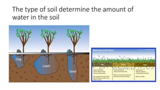 The type of soil determine the amount of
water in the soil
 