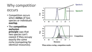 Why compotition
occurs
• Competition occurs
when niches of two
species or individuals
overlap.
• The competitive
exclusion
principle says that
two species can't
coexist if they occupy
exactly the same
niche (competing for
identical resources).
 