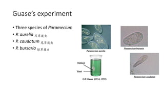 Guase’s experiment
• Three species of Paramecium
• P. aurelia 耳草履虫
• P. caudatum 尾草履虫
• P. bursaria 绿草履虫
 