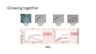 Growing together
Why
 