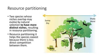 Resource partitioning
• Two species whose
niches overlap may
evolve by natural
selection to have more
distinct niches, resulting
in resource partitioning.
• Resource partitioning it
helps the species coexist
because there is less
direct competition
between them.
 