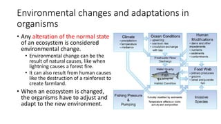 Environmental changes and adaptations in
organisms
• Any alteration of the normal state
of an ecosystem is considered
environmental change.
• Environmental change can be the
result of natural causes, like when
lightning causes a forest fire.
• It can also result from human causes
like the destruction of a rainforest to
create farmland.
• When an ecosystem is changed,
the organisms have to adjust and
adapt to the new environment.
 