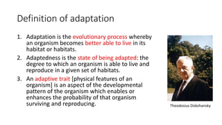 Definition of adaptation
1. Adaptation is the evolutionary process whereby
an organism becomes better able to live in its
habitat or habitats.
2. Adaptedness is the state of being adapted: the
degree to which an organism is able to live and
reproduce in a given set of habitats.
3. An adaptive trait [physical features of an
organism] is an aspect of the developmental
pattern of the organism which enables or
enhances the probability of that organism
surviving and reproducing. Theodosius Dobzhansky
 