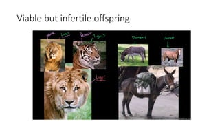 Viable but infertile offspring
 