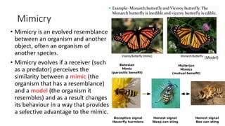 Mimicry
• Mimicry is an evolved resemblance
between an organism and another
object, often an organism of
another species.
• Mimicry evolves if a receiver (such
as a predator) perceives the
similarity between a mimic (the
organism that has a resemblance)
and a model (the organism it
resembles) and as a result changes
its behaviour in a way that provides
a selective advantage to the mimic.
(Model)
 