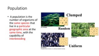 Population
• A population is the
number of organisms of
the same species that
live in a particular
geographic area at the
same time, with the
capability of
interbreeding
 
