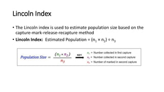 Lincoln Index
• The Lincoln index is used to estimate population size based on the
capture-mark-release-recapture method
• Lincoln Index: Estimated Population = (n1 × n2) ÷ n3
 