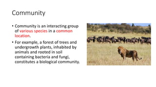 Community
• Community is an interacting group
of various species in a common
location.
• For example, a forest of trees and
undergrowth plants, inhabited by
animals and rooted in soil
containing bacteria and fungi,
constitutes a biological community.
 