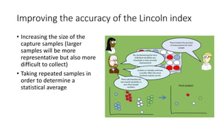 Improving the accuracy of the Lincoln index
• Increasing the size of the
capture samples (larger
samples will be more
representative but also more
difficult to collect)
• Taking repeated samples in
order to determine a
statistical average
 