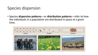 Species dispersion
• Species dispersion patterns—or distribution patterns—refer to how
the individuals in a population are distributed in space at a given
time.
 