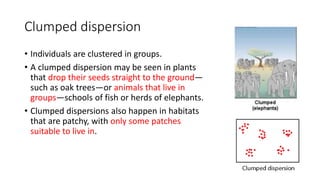 Clumped dispersion
• Individuals are clustered in groups.
• A clumped dispersion may be seen in plants
that drop their seeds straight to the ground—
such as oak trees—or animals that live in
groups—schools of fish or herds of elephants.
• Clumped dispersions also happen in habitats
that are patchy, with only some patches
suitable to live in.
 