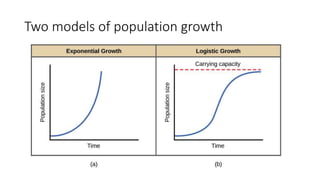 Two models of population growth
 