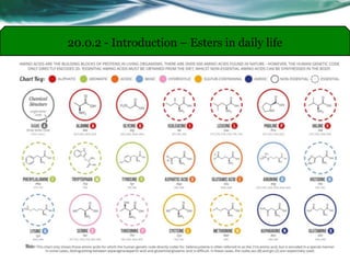 20.0.2 - Introduction – Esters in daily life
 
