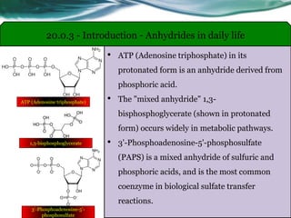 • ATP (Adenosine triphosphate) in its
protonated form is an anhydride derived from
phosphoric acid.
• The "mixed anhydride" 1,3-
bisphosphoglycerate (shown in protonated
form) occurs widely in metabolic pathways.
• 3'-Phosphoadenosine-5'-phosphosulfate
(PAPS) is a mixed anhydride of sulfuric and
phosphoric acids, and is the most common
coenzyme in biological sulfate transfer
reactions.
20.0.3 - Introduction - Anhydrides in daily life
ATP (Adenosine triphosphate)
1,3-bisphosphoglycerate
3’-Phosphoadenosine-5’-
phosphosulfate
 