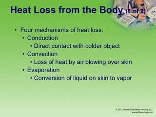 Heat Loss from the Body (1 of 2)
• Four mechanisms of heat loss:
• Conduction
• Direct contact with colder object
• Convection
• Loss of heat by air blowing over skin
• Evaporation
• Conversion of liquid on skin to vapor
 