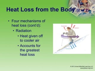 Heat Loss from the Body (2 of 2)
• Four mechanisms of
heat loss (cont’d):
• Radiation
• Heat given off
to cooler air
• Accounts for
the greatest
heat loss
 