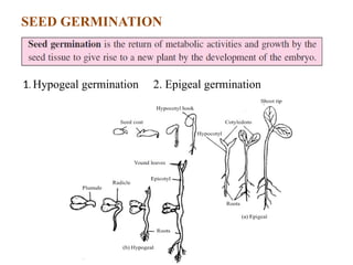 Chapter 20- growth and development in plants.pptx