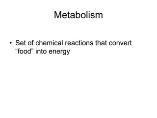 Metabolism
• Set of chemical reactions that convert
“food” into energy
 