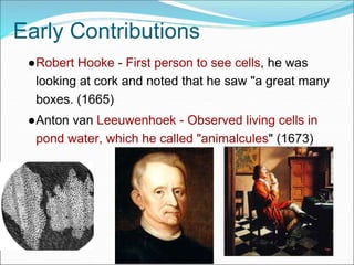 Early Contributions
●Robert Hooke - First person to see cells, he was
looking at cork and noted that he saw "a great many
boxes. (1665)
●Anton van Leeuwenhoek - Observed living cells in
pond water, which he called "animalcules" (1673)
 
