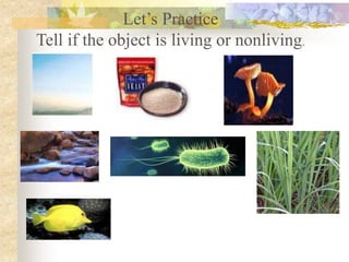 Let’s Practice
Tell if the object is living or nonliving.
 