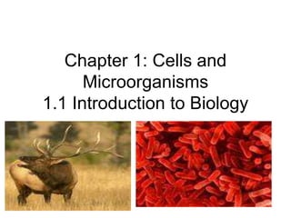 Chapter 1: Cells and
Microorganisms
1.1 Introduction to Biology
 