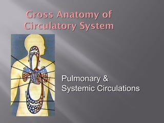 Pulmonary &
Systemic Circulations
 