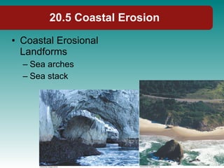 20.5 Coastal Erosion <ul><li>Coastal Erosional Landforms </li></ul><ul><ul><li>Sea arches </li></ul></ul><ul><ul><li>Sea s...