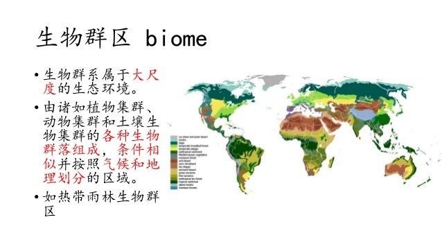 Chapter Ecosystem Chinese
