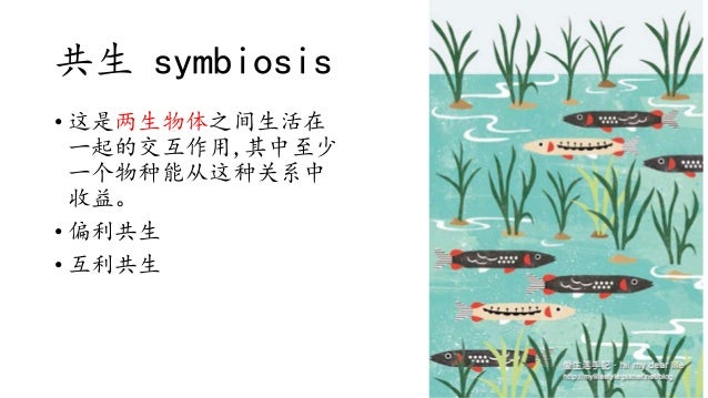 Chapter Ecosystem Chinese Chapter Ecosystem Chinese