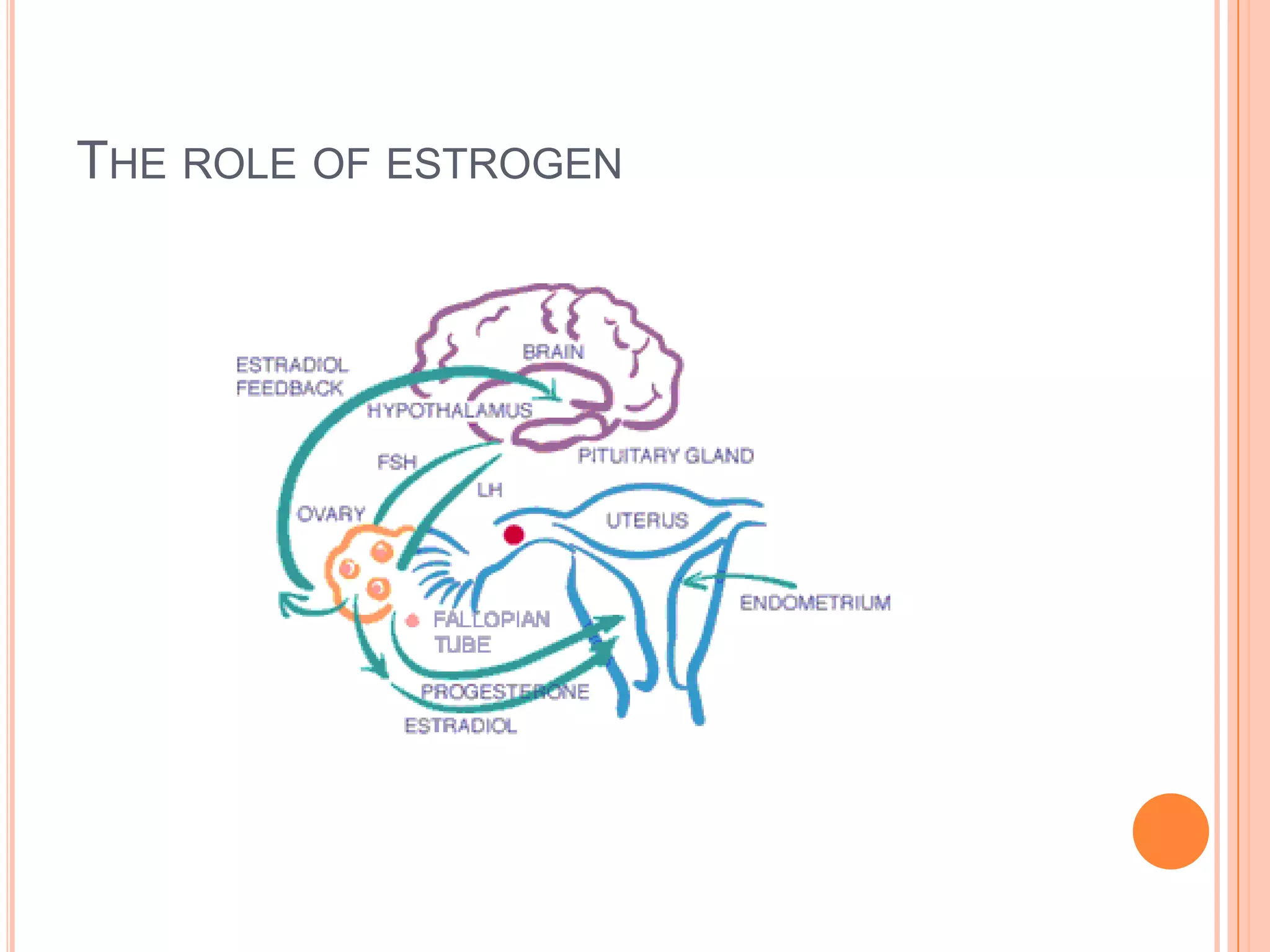 THE ROLE OF ESTROGEN
 