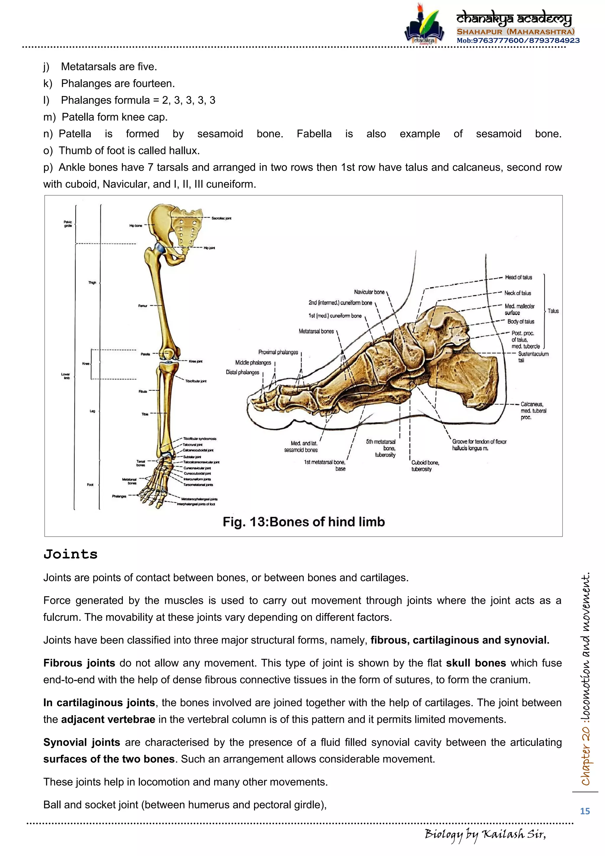 Chapter 20 locomotion and movement | PDF