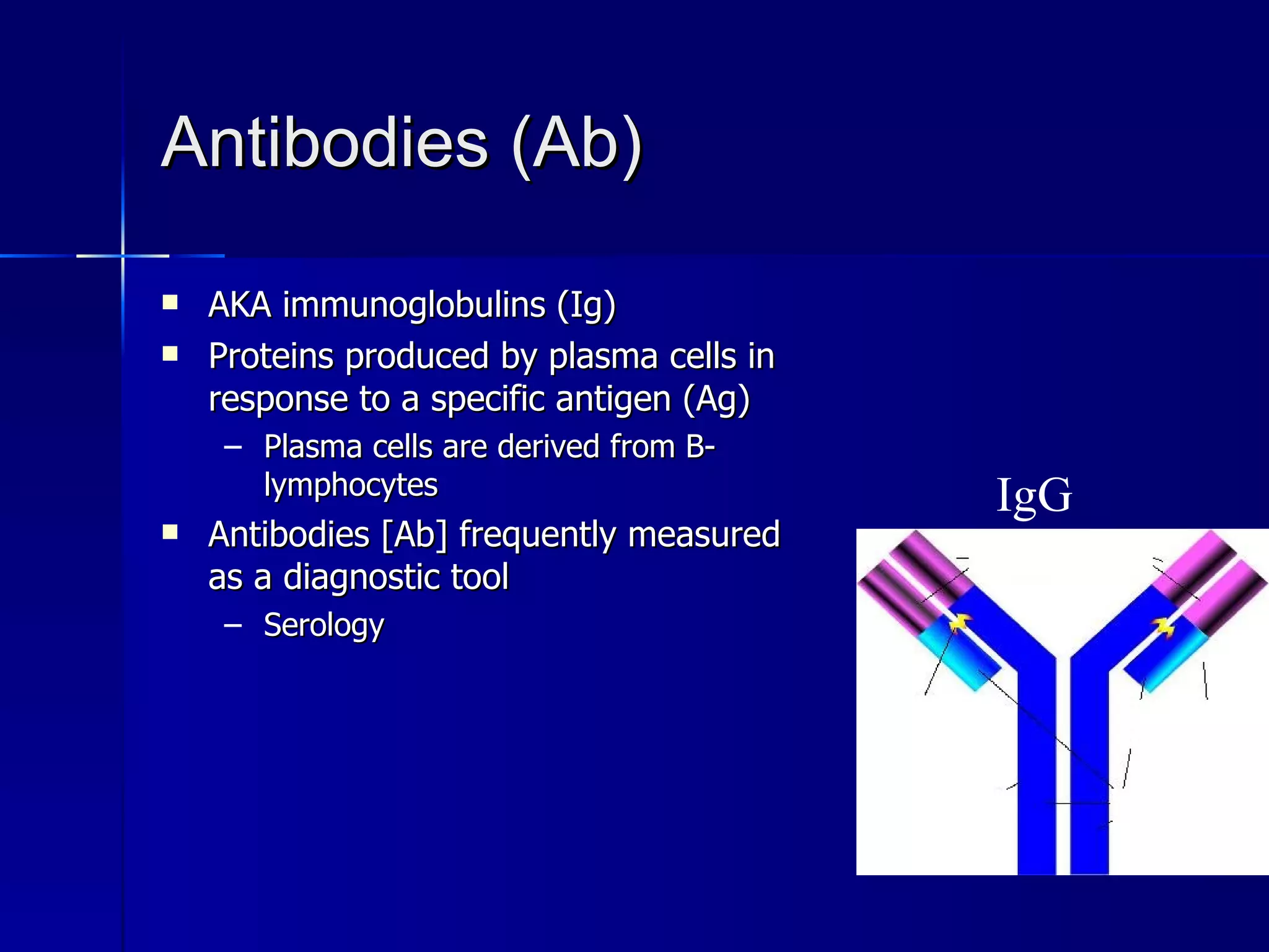 Antibodies (Ab) AKA immunoglobulins (Ig) Proteins produced by plasma cells in response to a specific antigen (Ag) Plasma cells are derived from B-lymphocytes Antibodies [Ab] frequently measured as a diagnostic tool Serology IgG 