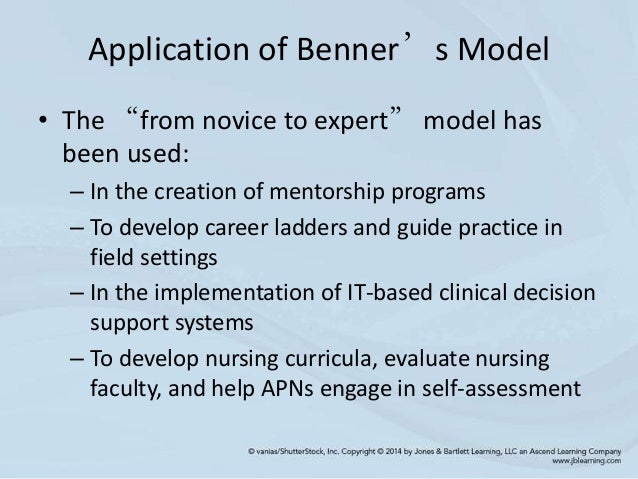 benner s novice to expert theory