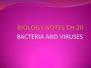 BIOLOGY NOTES CH 20 BACTERIA AND VIRUSES 