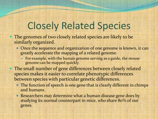 Closely Related SpeciesThe genomes of two closely related species are likely to be similarly organized.Once the sequence and organization of one genome is known, it can greatly accelerate the mapping of a related genome.For example, with the human genome serving as a guide, the mouse genome can be mapped quickly.The small number of gene differences between closely related species makes it easier to correlate phenotypic differences between species with particular genetic differences.The function of speech is one gene that is clearly different in chimps and humans.Researchers may determine what a human disease gene does by studying its normal counterpart in mice, who share 80% of our genes.