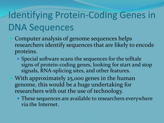 Identifying Protein-Coding Genes in DNA SequencesComputer analysis of genome sequences helps researchers identify sequences that are likely to encode proteins. Special software scans the sequences for the telltale signs of protein-coding genes, looking for start and stop signals, RNA-splicing sites, and other features.With approximately 25,000 genes in the human genome, this would be a huge undertaking for researchers with out the use of technology.These sequences are available to researchers everywhere via the Internet.