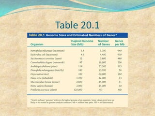 Table 20.1