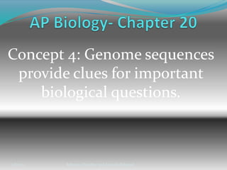 AP Biology- Chapter 20 Concept 4: Genome sequences provide clues for important biological questions. 2/8/2011 Rehman Chaudhry and Amanda Rebeaud 